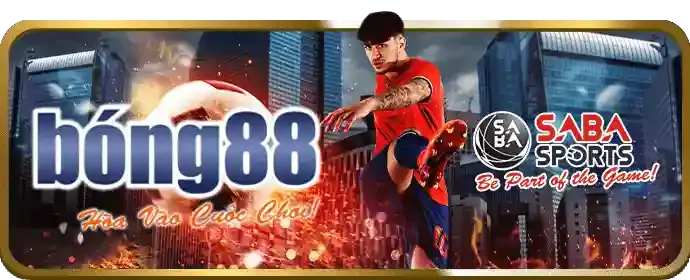 Cookie hiệu suất giúp SSS666 phân tích và cải thiện dịch vụ